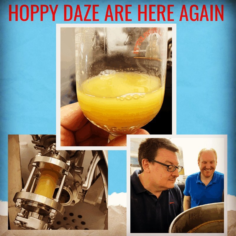 Hoppy Daze are here again